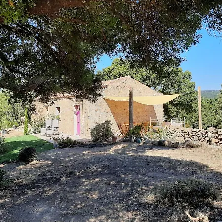 Holiday Home Su Niberalzu Monti Exterior photo