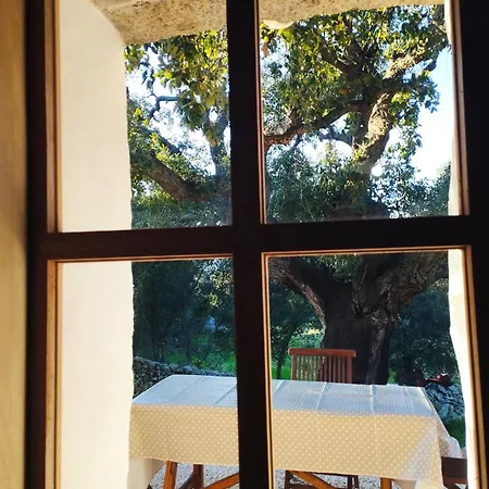 Holiday Home Su Niberalzu Monti Room photo