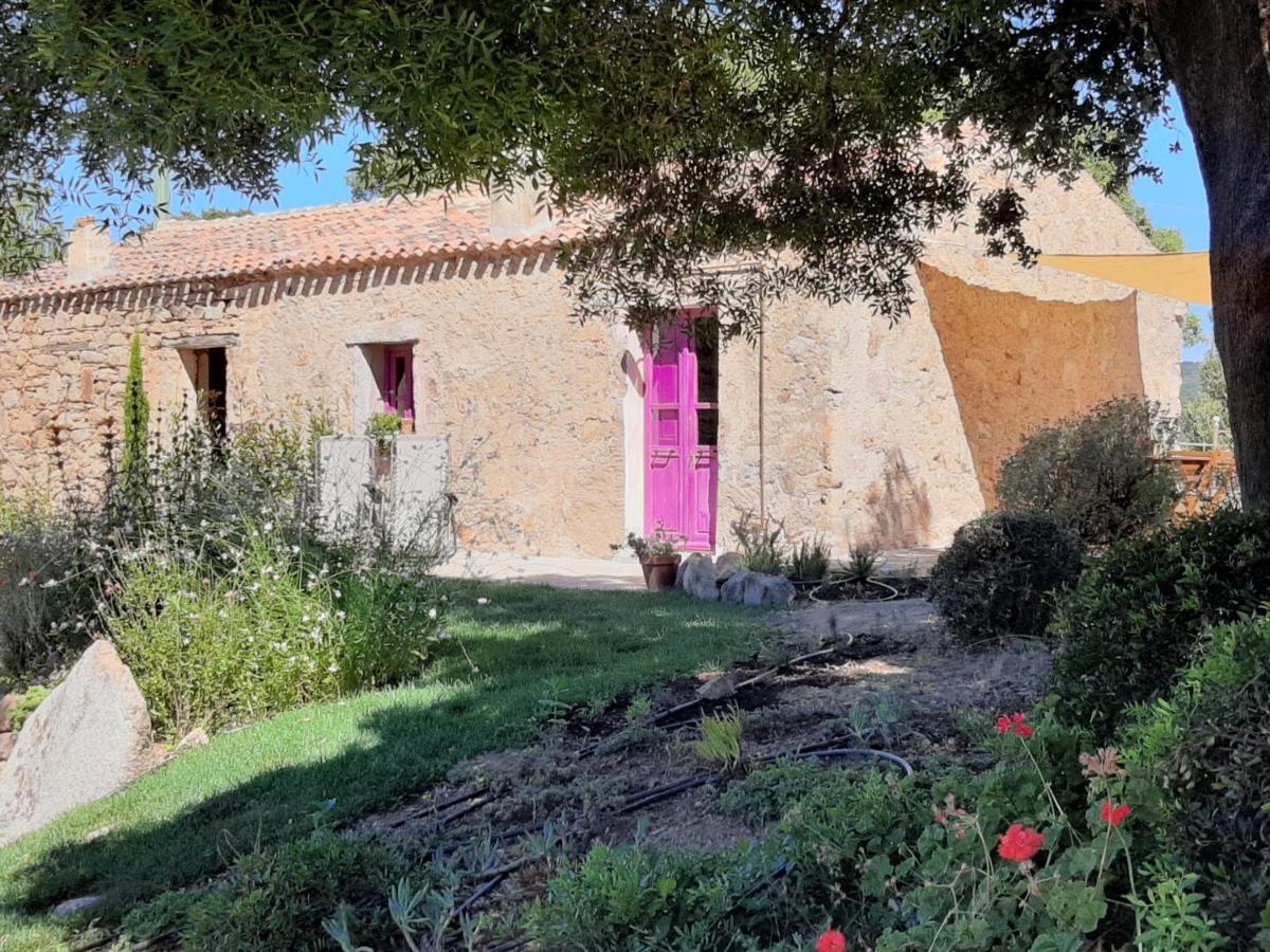 Country house Su Niberalzu Monti