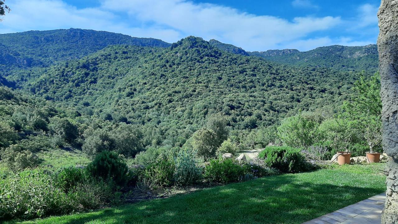 Su Niberalzu Country house Monti