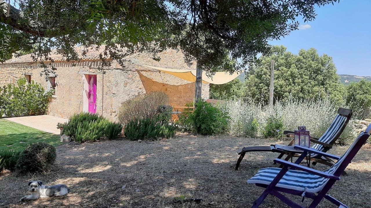 Country house Su Niberalzu Monti