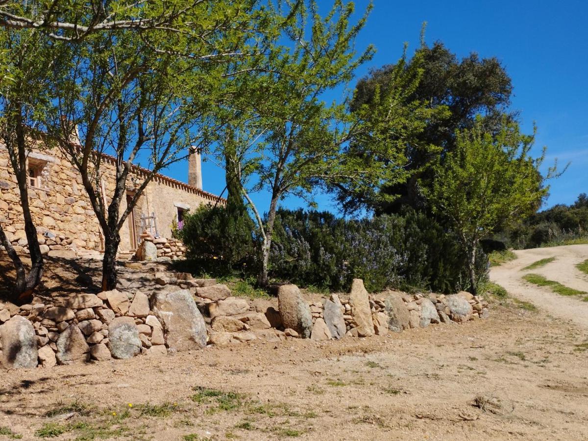 Su Niberalzu Country house Monti