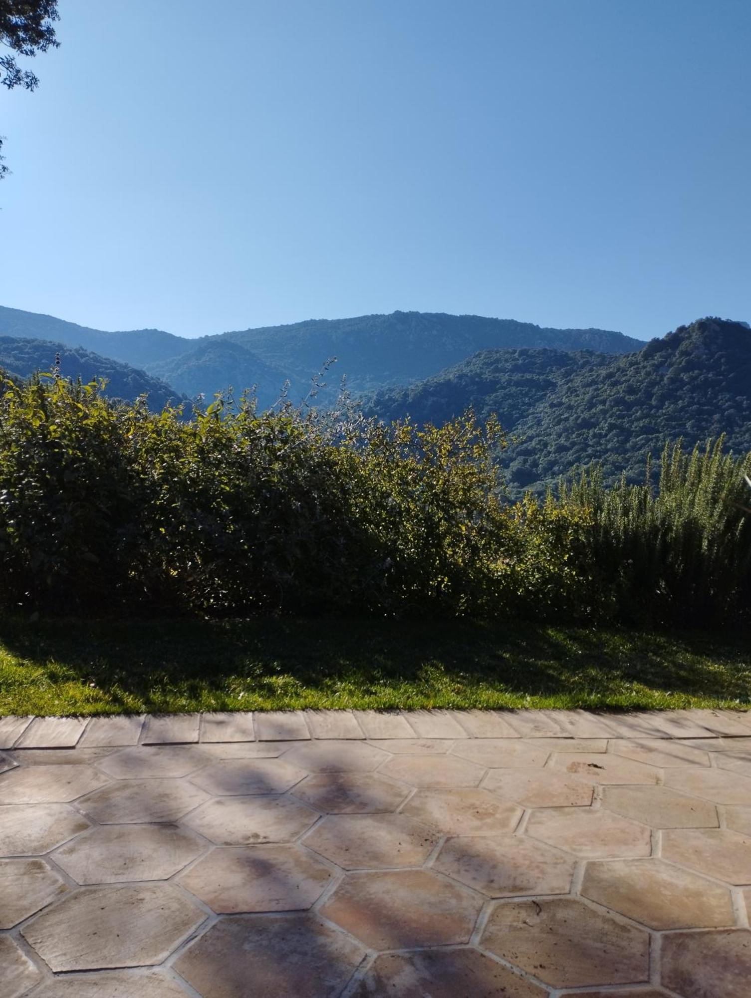 Country house Su Niberalzu *