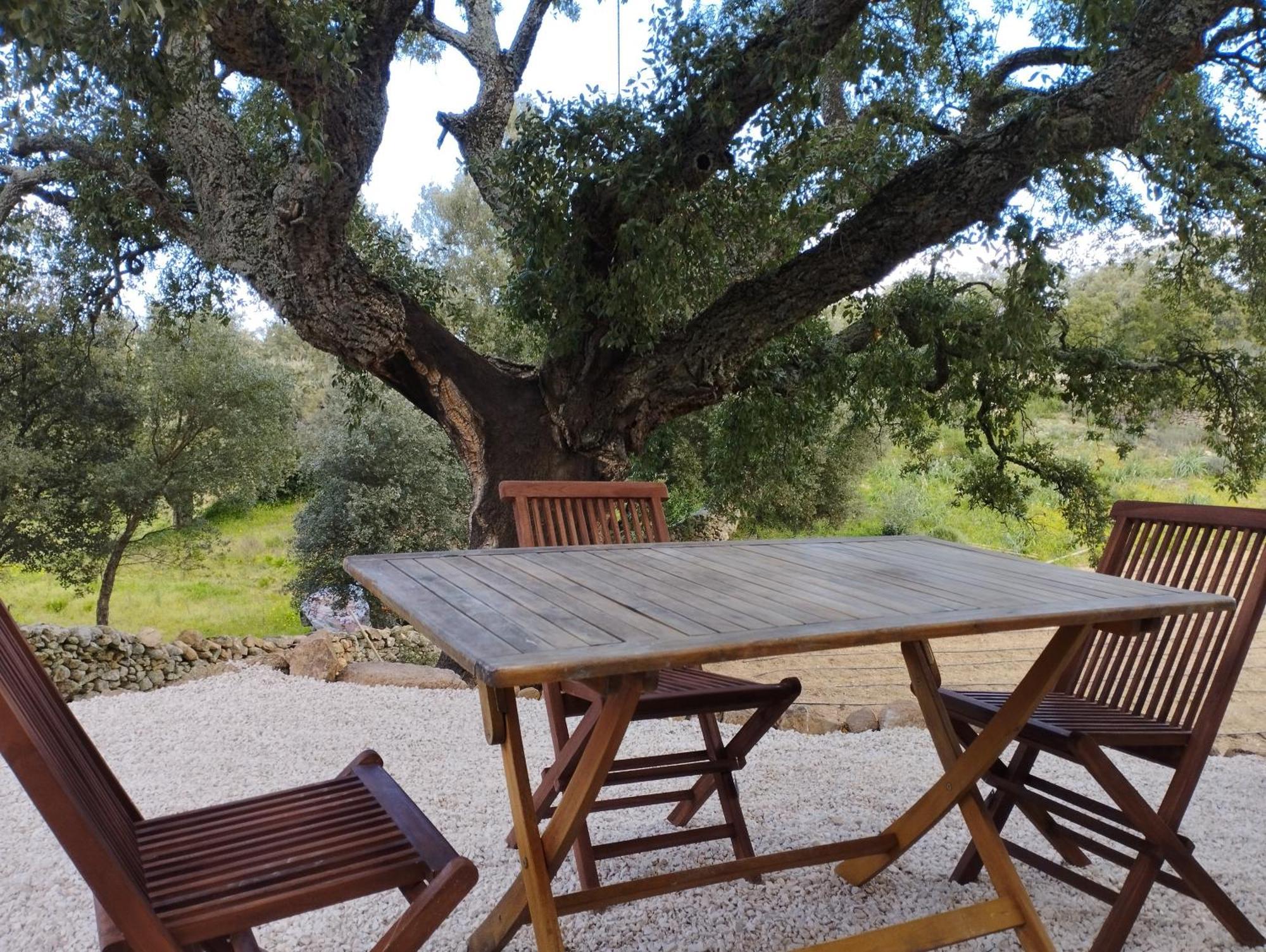 Country house Su Niberalzu *